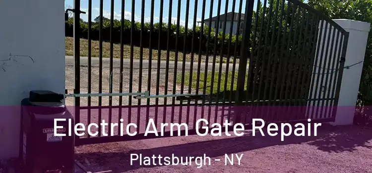 Electric Arm Gate Repair Plattsburgh - NY