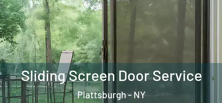 Sliding Screen Door Service Plattsburgh - NY